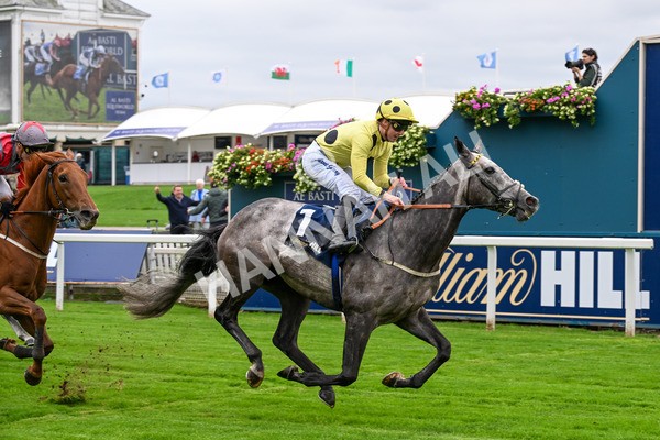 101025-Race 1-Ice Max-0067 - Race 1 William Hill Autumn Mile Handicap at York
