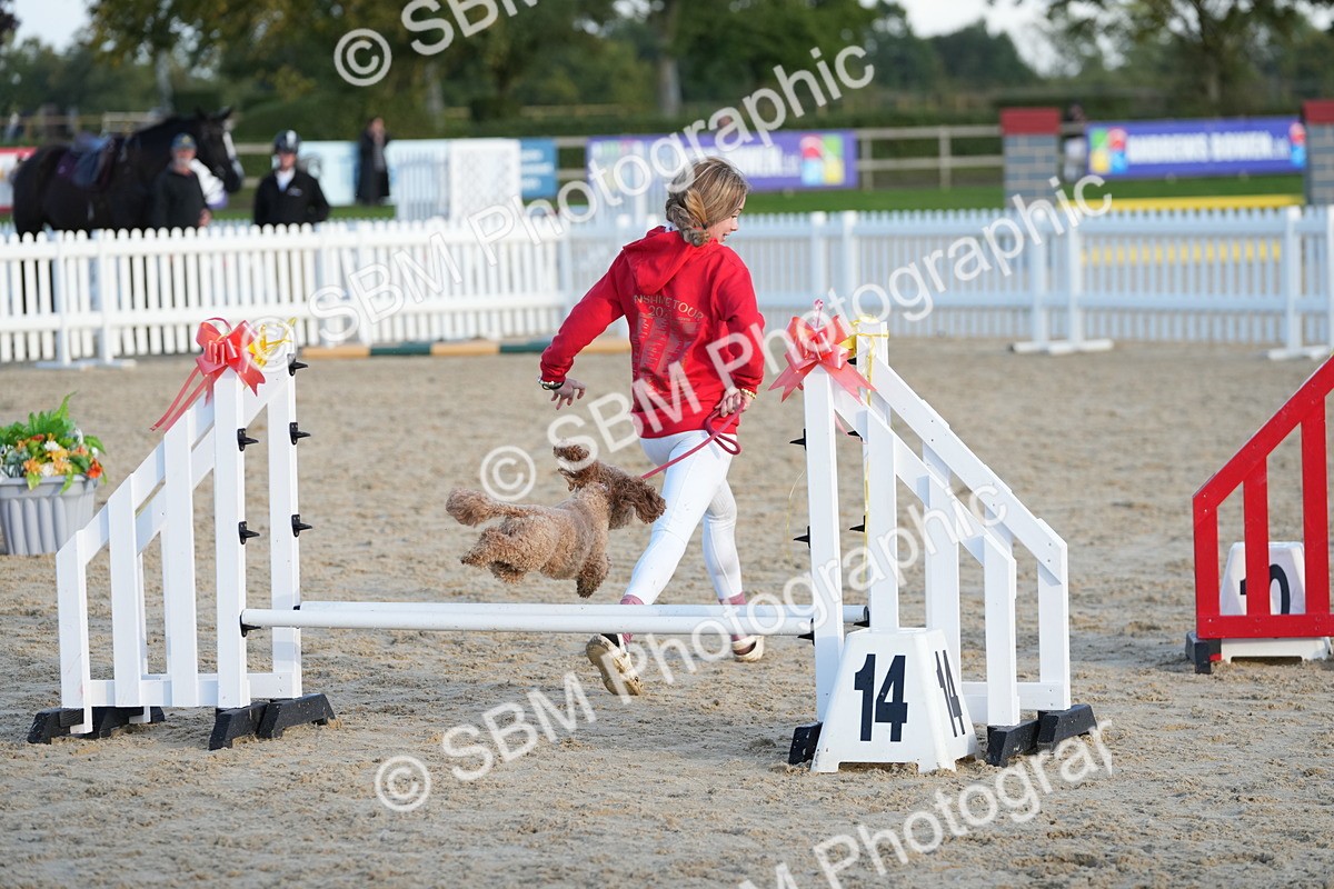 SBM_29497 - J44 - Horse & Hound Open 70cm