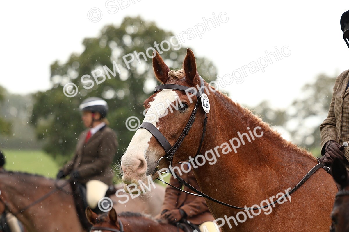 SBM_45088 - S27 - Young Veteran Ridden