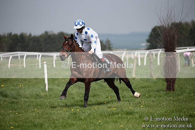 PtP 210418 52 - South & West Wilts Point-to-Point Larkhill 21/04/18