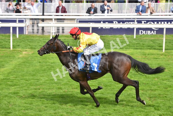 yr10072021r4-19 - Race 4: 3.30pm John Smith's Nursery Stakes