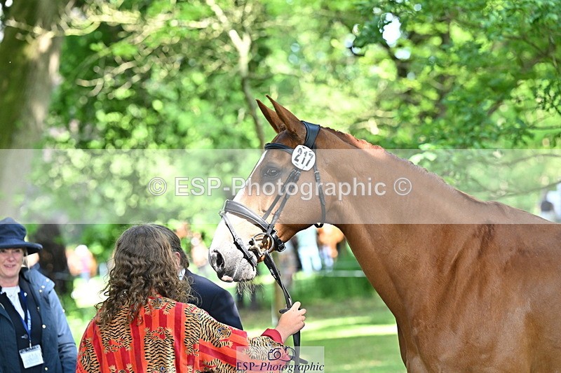 250521A-162224-01094 - C-217-Polly.Kilgour-RENKUM.LADY.VOS