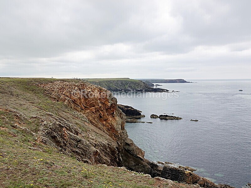 DSC00161 - Skomer 2019