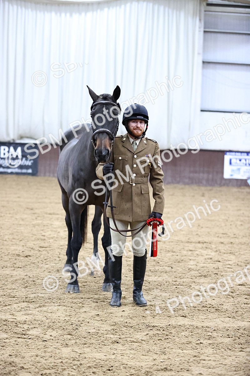 SBM_5217 - Class 39 - In Hand Gelding