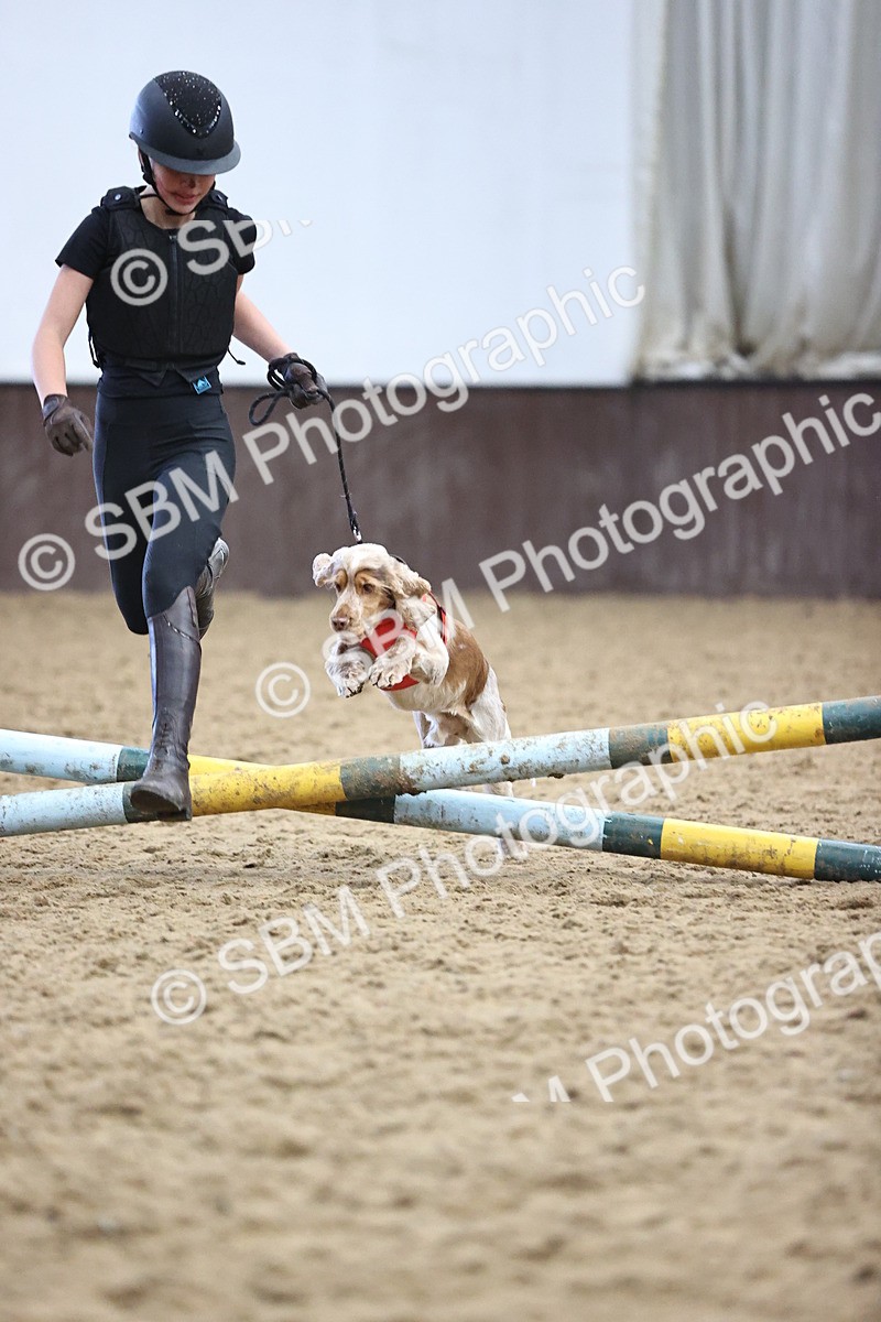 SBM_001345 - Class 3 - Horse & Hound 60cm