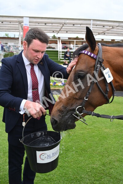 yr22052022r2-28 - Race 2: 4:00pm Sky Bet Sunday Series EBF Novice Stakes