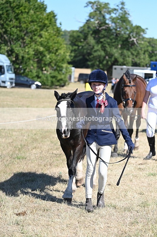 WJ7_1834 - Class 43 Best Six Legs (In hand)