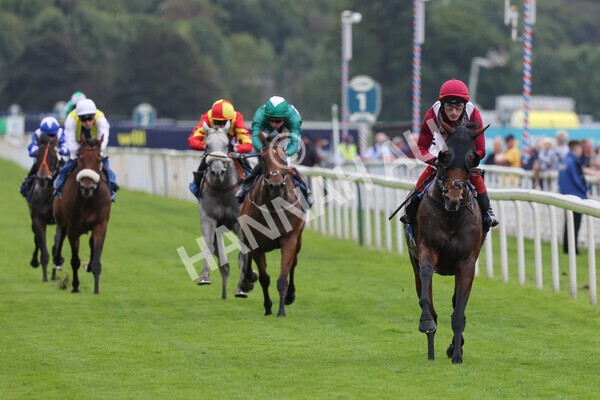yr24092021r5-20 - Race 5 3.50pm William Hill Leading On Course Bookmaker Stakes