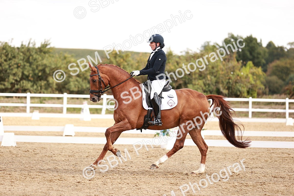 SBM_017688 - Class 11 - Advanced Medium 6