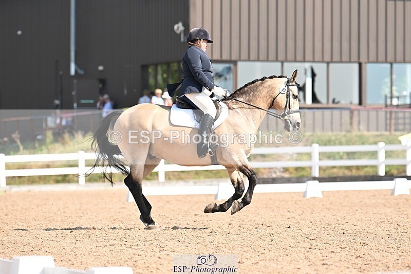 250816-111339-03561 - 082-Sarah.DavisWinston.Classic.Gold