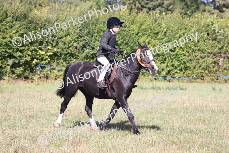 20260906-2362 - Class 16 - Family Pony