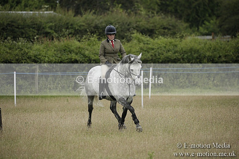 B230619-0127 - Bourne Valley Riding Club Summer Show 23/06/19