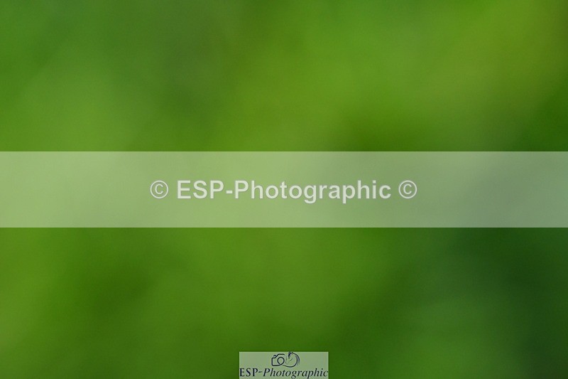 231110-130842-01549 - Cls 6 Elementary 57Q