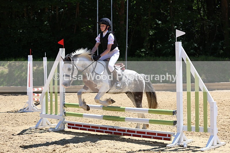 3E7A2414 - Class 4/5: 60cm Open Teams and Individuals