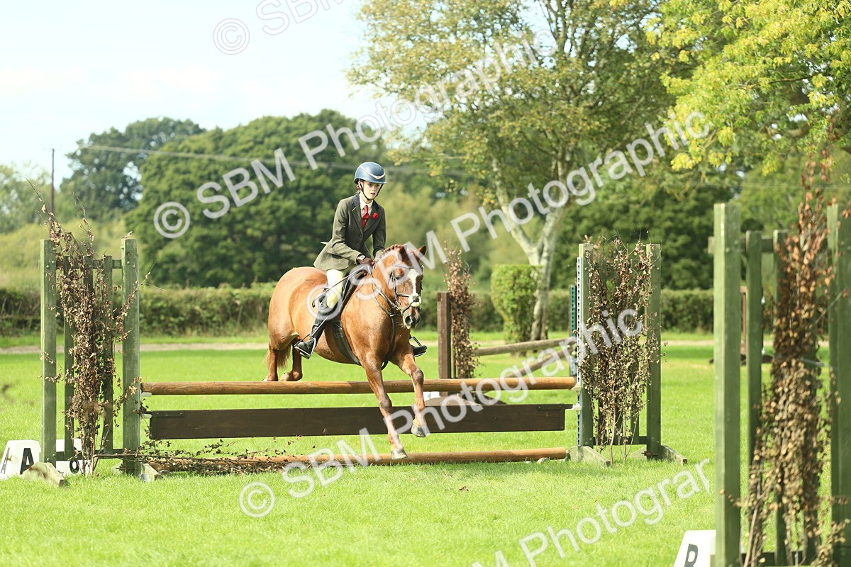 SBM_44570 - S31 - Working Hunter Pony