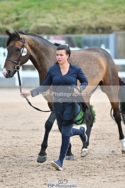 240718A-105309-01623 - Trot Up 1pm to 2pm