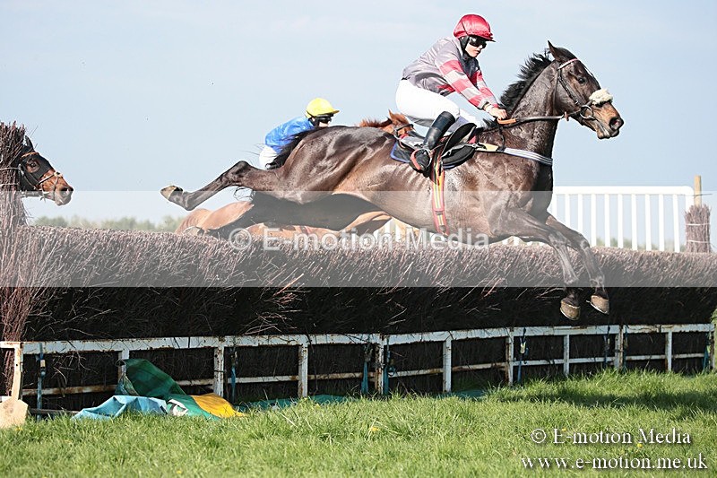 PtP 210418 534 - South & West Wilts Point-to-Point Larkhill 21/04/18
