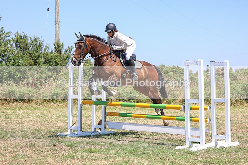 3E7A4336 - Class 10: Senior British Novice/90cm open