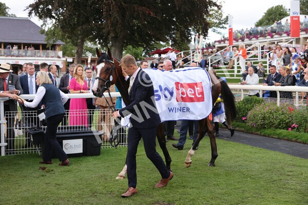 yr20082022r2-62 - Race 2 2.35pm Sky Bet Melrose Stakes