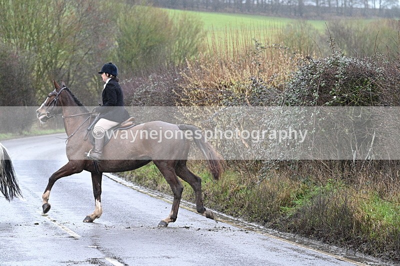 WJ7_7019 - Crossing A Camera