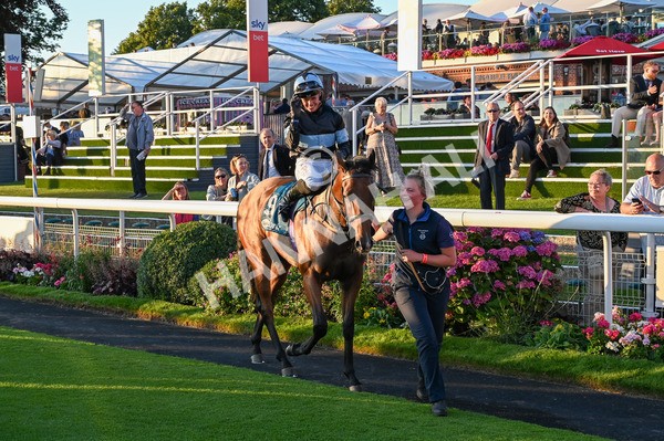 260724-Race 6-Duran-7943 - Race 6 8.20pm Sky Bet Go-Racing-In-Yorkshire Summer Festival Handicap