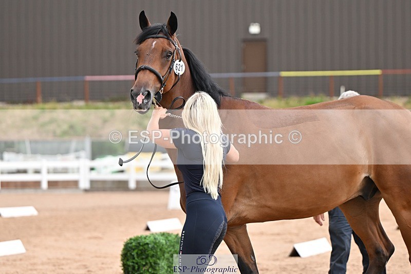 250716-145440-01502 - Trot Up 2.30 to 3.30