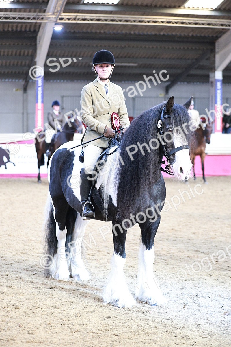 SBM_09117 - Class 12R - Regional Ridden Pre-Vet