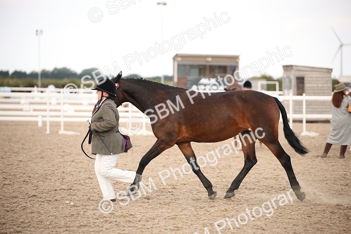 SBM_08217 - Class 27 - IH Competition Horse-Pony