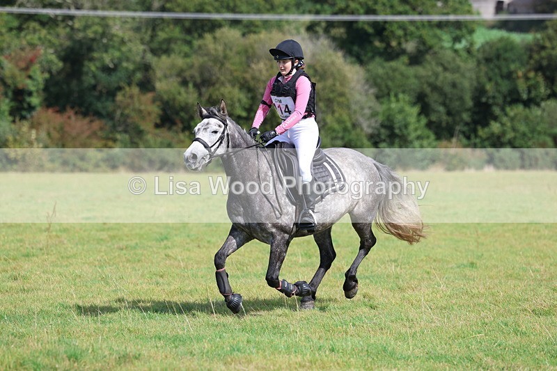 3E7A6618 - Class 1: Trebudannon Open: Pheasant Feeder