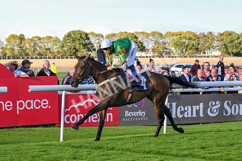 170925-Race 7-Sonic Pioneer-6219 - Race 7