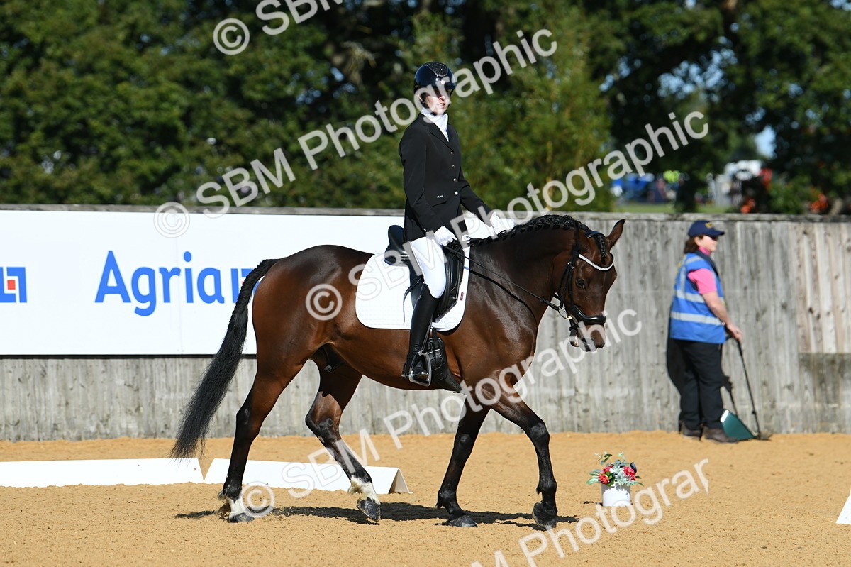 SBM_17976 - D4 - Small Tour Championship - Intro B