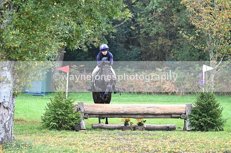 WJ7_2992 - Time 10:47 to 11:11 at the water