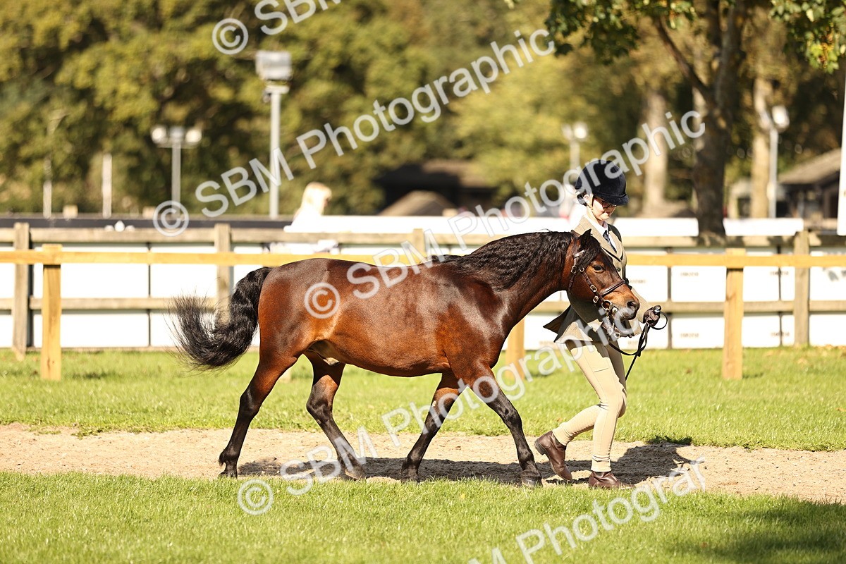 SBM_26145 - S5 - Novice & Newcomers In Hand