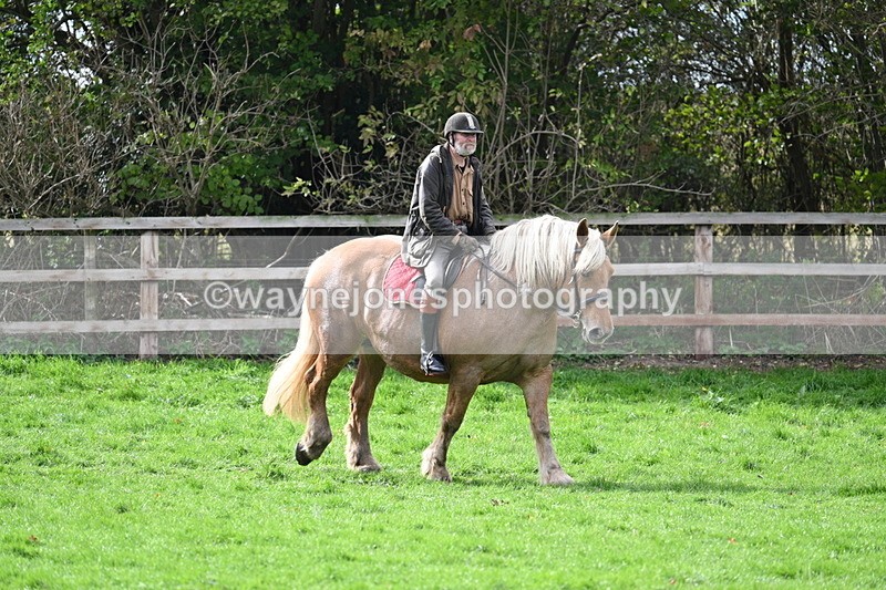 WJ7_9299 - Time 12:55 to 13:13