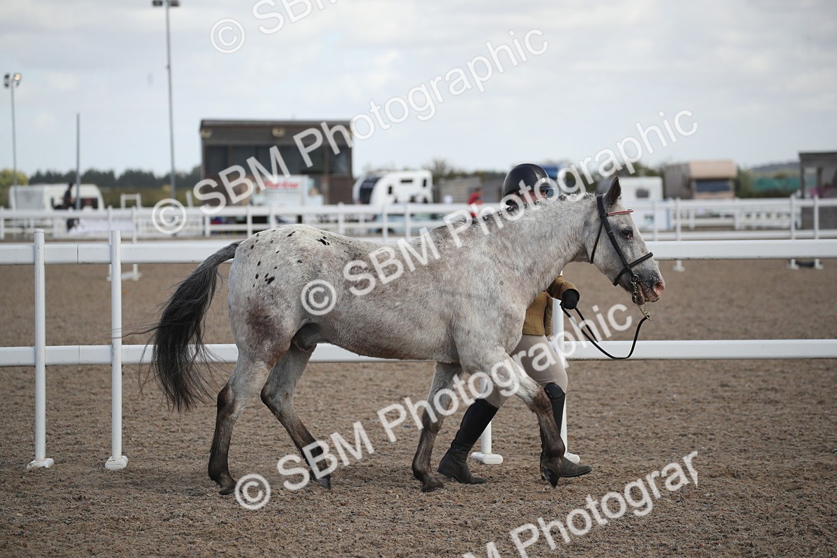 SBM_23508 - Class 604 - 2026 - Area IH Diamond