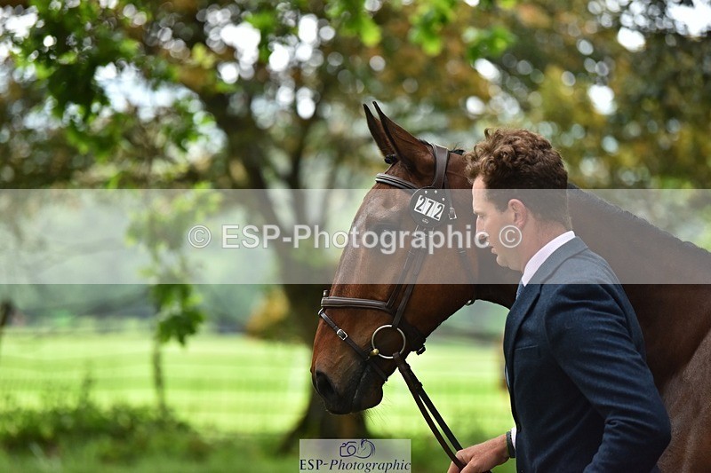 240522-165846-01299 - 272-PRIORSPARK_ROYAL_RIFF-RAFF-Jesse_Campbell