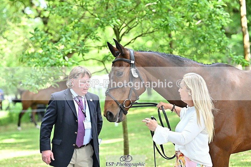 250521A-151659-00399 - B-325-Kat.Raybould-MONBEG.SHELBY