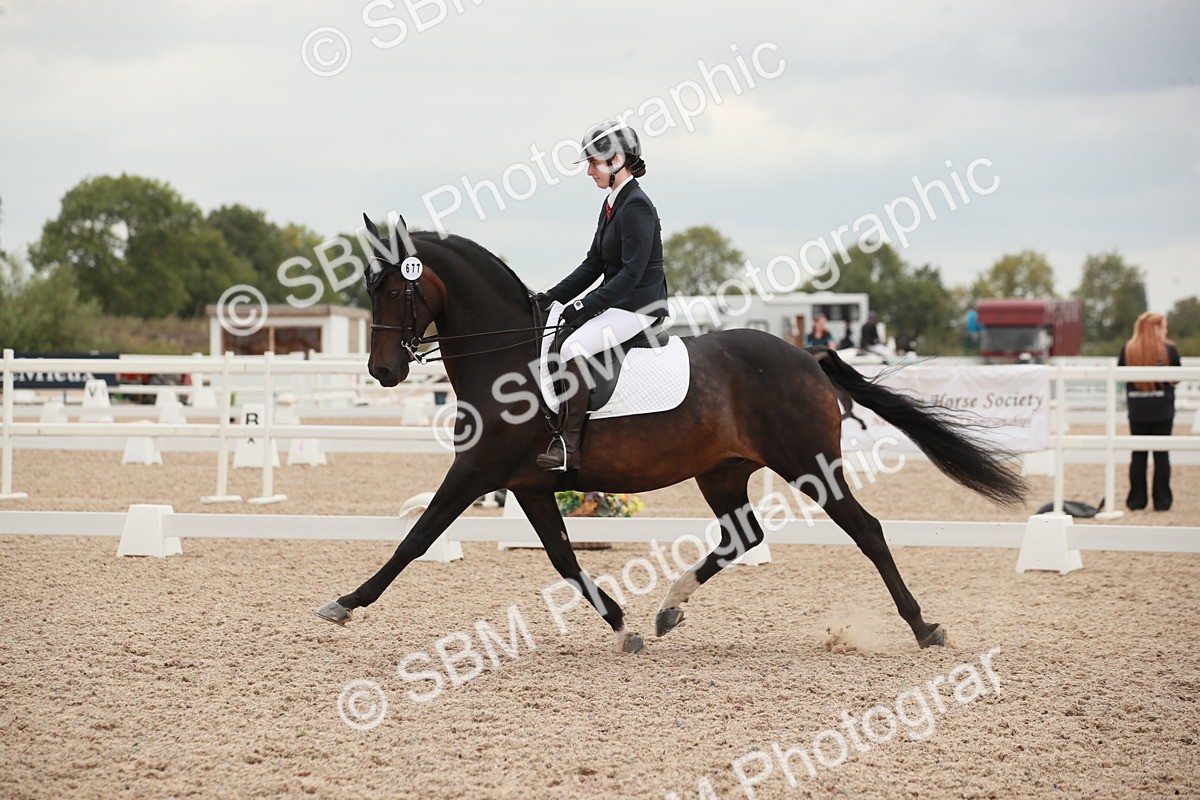 SBM_06122 - Class 33 - Elementary 1