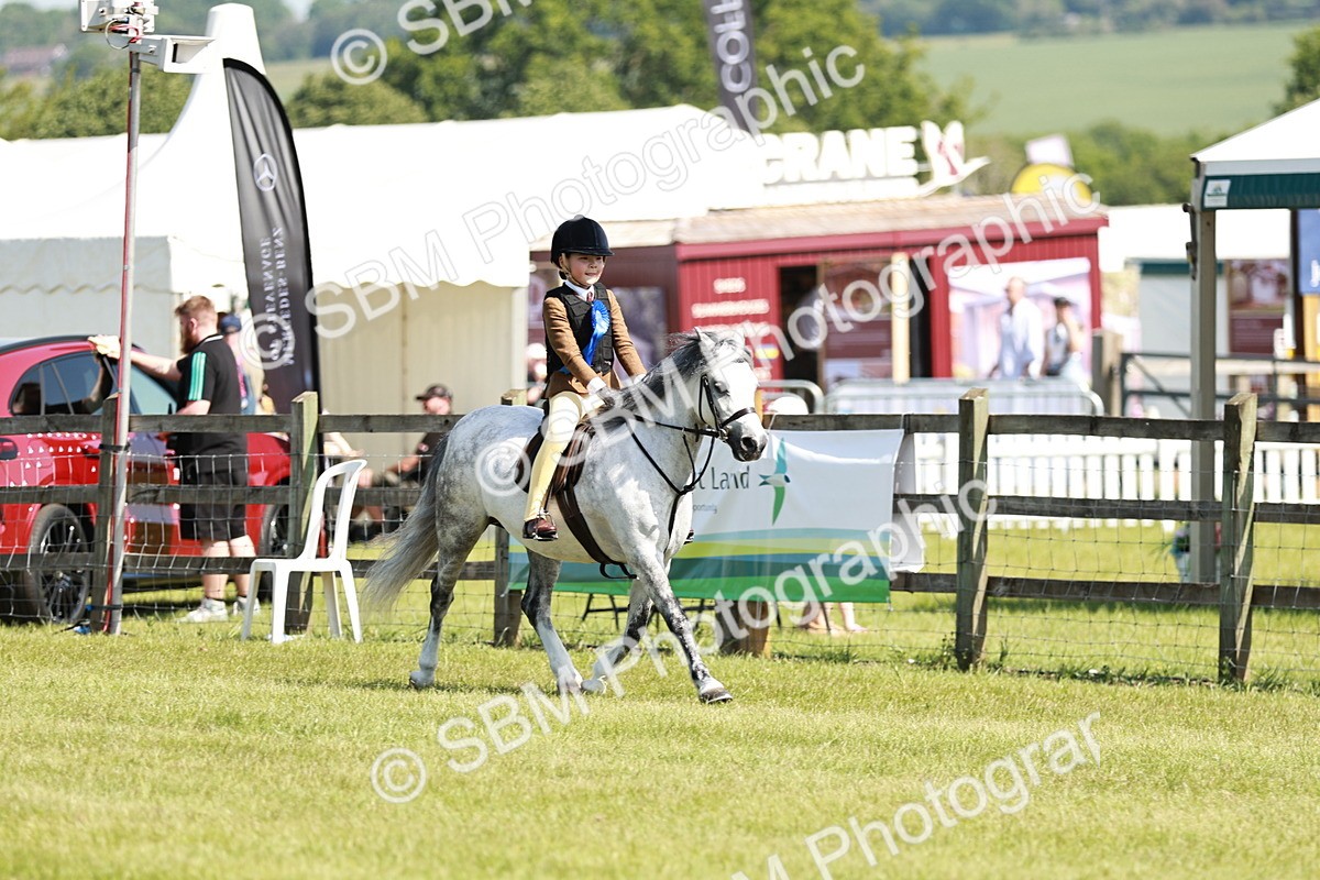 SBM_12838 - Class 106-107 - BSPS LIHS Working Sports Pony
