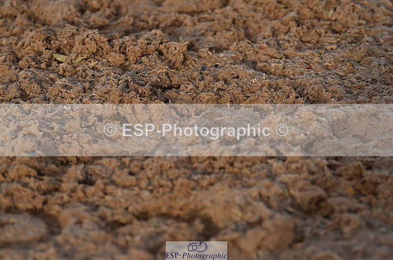 231104A-145748-02232 - Cls 10 Medium 61