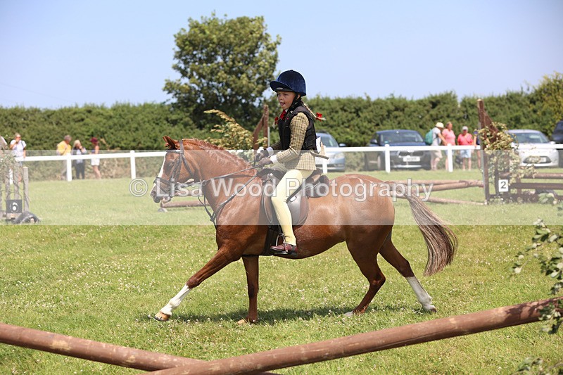 JPP_2501 - Class 21: Working Hunter 60cm