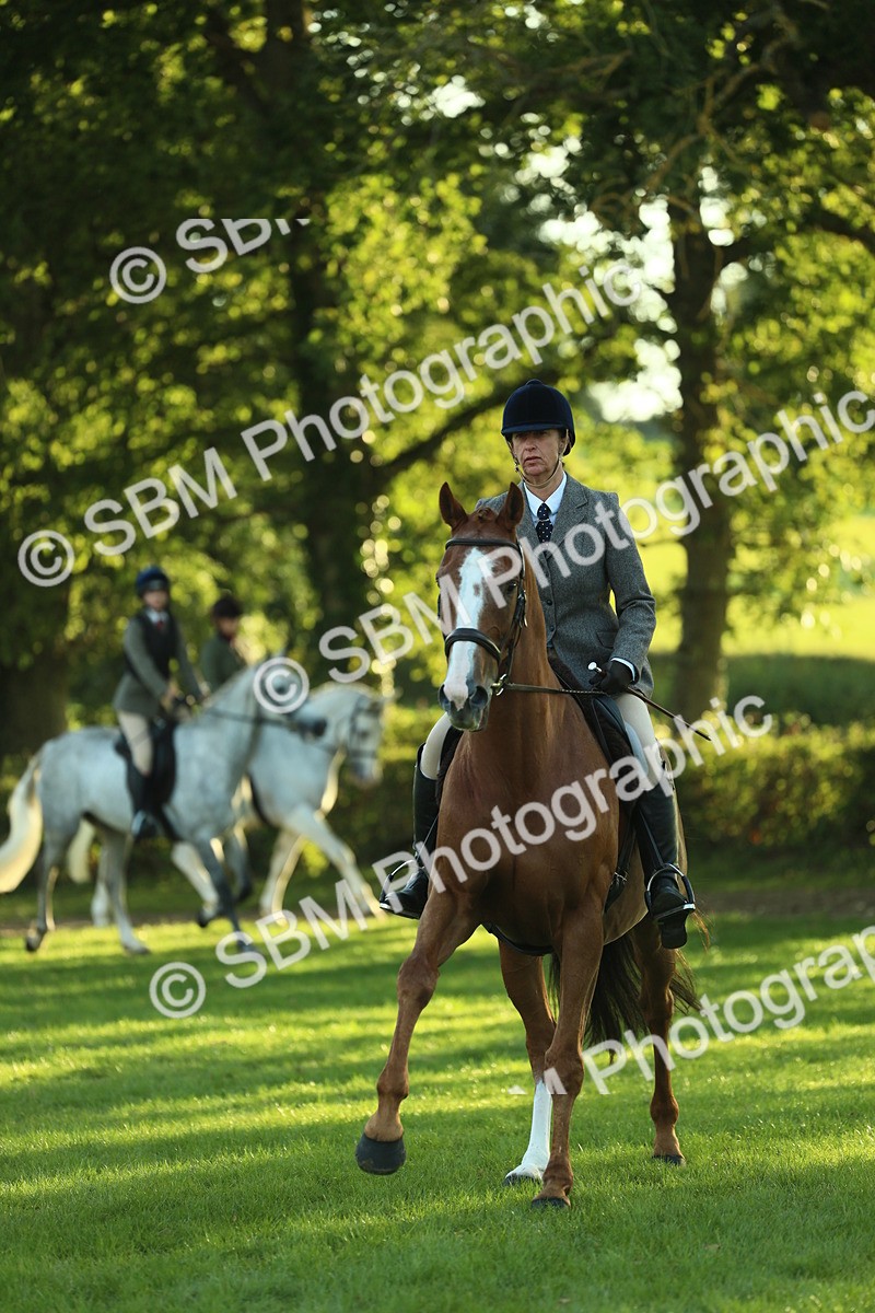SBM_55530 - S14 - Riding Club Horse