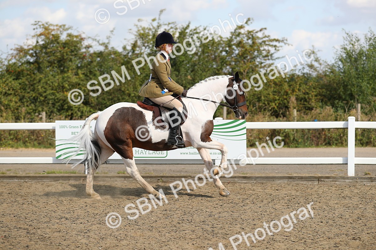 SBM_03308 - Class 44 Riding Club Horse/ Pony