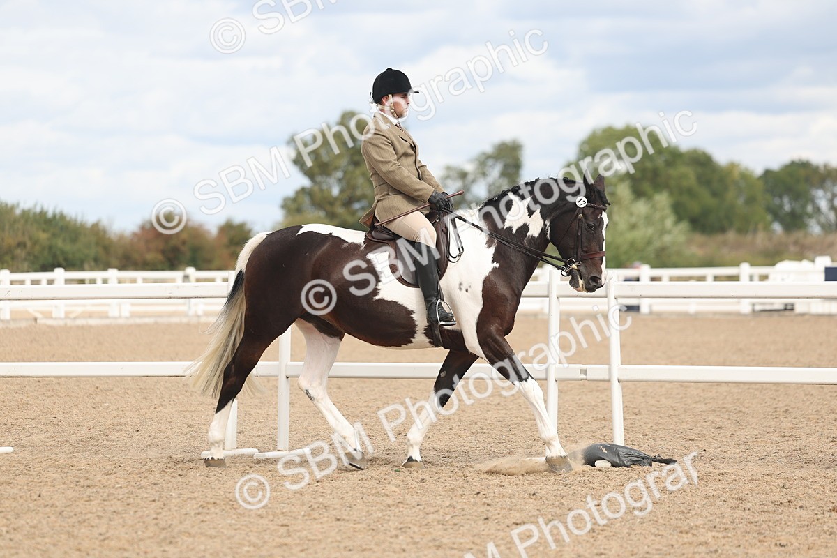 SBM_14745 - Class 308 - Ridden Coloured Horse