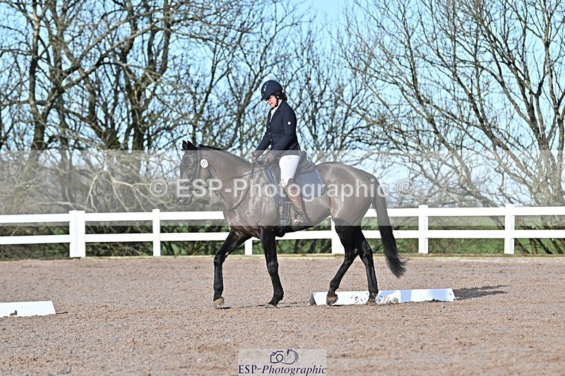250125-103023-00193 - Dressage - CT Class 4 BE95 (80cm)
