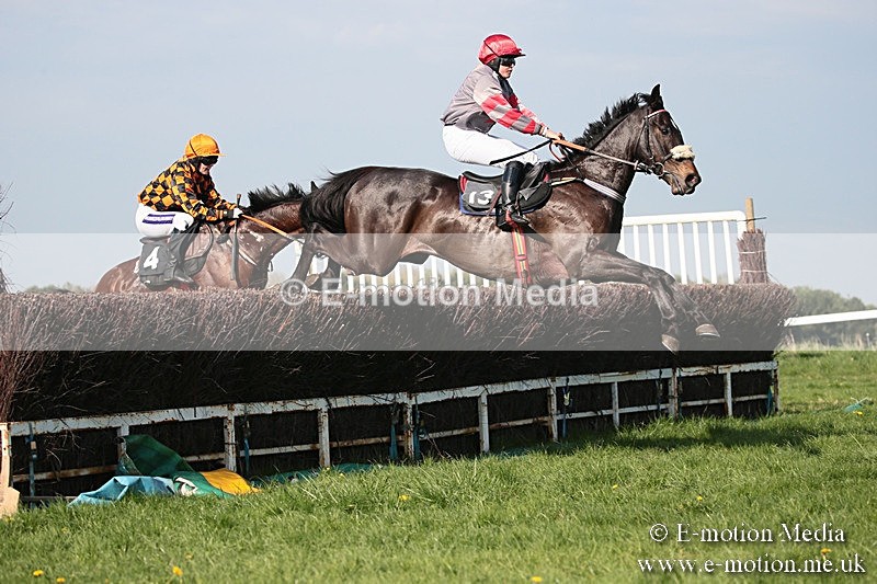 PtP 210418 504 - South & West Wilts Point-to-Point Larkhill 21/04/18