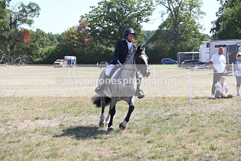WJ6_8895 - Class 38 Ridden Riding Horse/Pony
