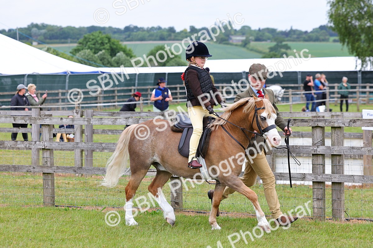 SBM_08102 - Class 42-43 - LIHS BSPS Heritage Working Sports Pony