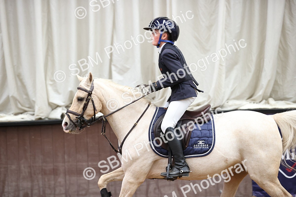 SBM_002707 - Class 12 - Springboard 128cm 138cm 90cm 1.00m