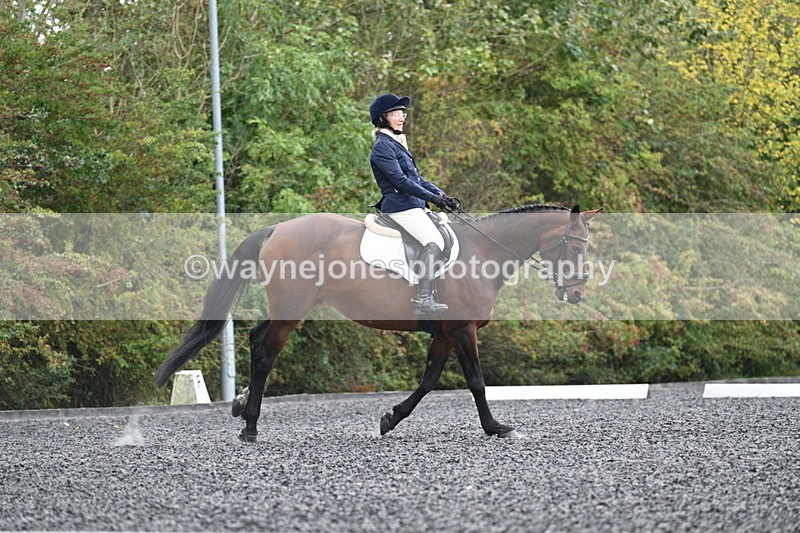 WJ7_4119 - Time 11:43 to 12:09